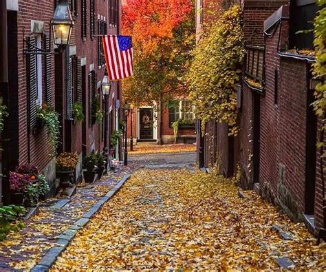 acorn street